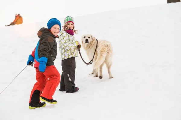 Chlapec Dívka Kráčející Pes Sněhu — Stock fotografie