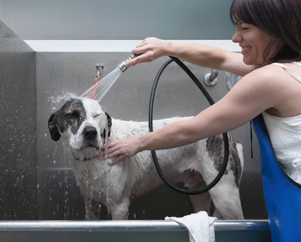 Femme Chien Bain Riant — Photo