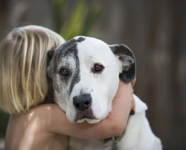 Portrait of sad looking dog hugged by three year old boy