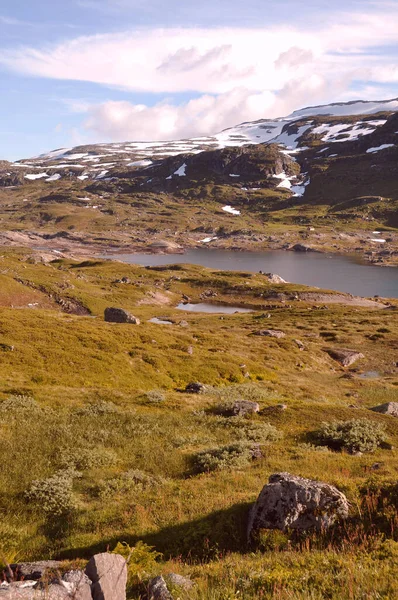 Foto Van Strynefjellet Langevatnet Straat Breheimen — Stockfoto