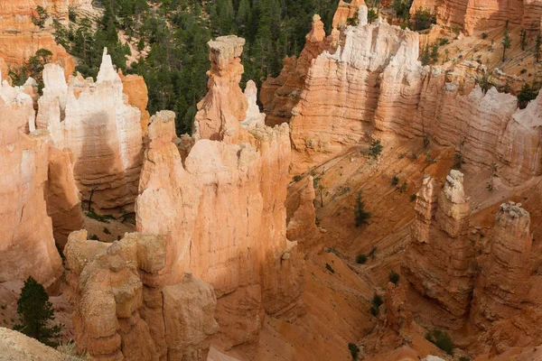 Seltsam Geformte Felsnadeln Bryce Canyon Nationalpark Utah Egyesült Államok — Stock Fotó