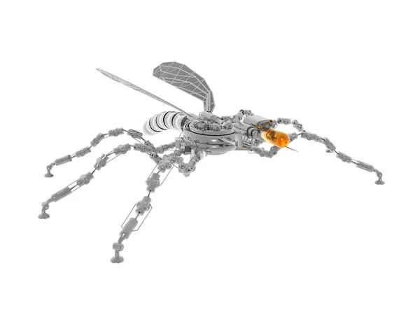 Spin Insectenval Dier — Stockfoto