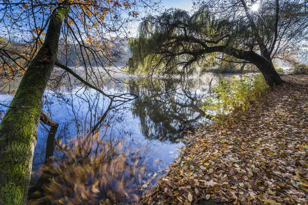 Dansende Bladeren Herfst Met Lange Blootstelling Kleurrijke Herfstbladeren Hun Wandeling — Stockfoto