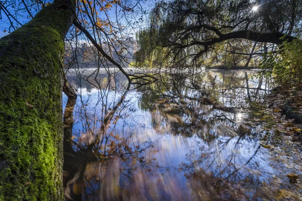 Tanzende Blätter Herbst Mit Langer Belichtung Bunte Herbstblätter Und Ihr — Stockfoto