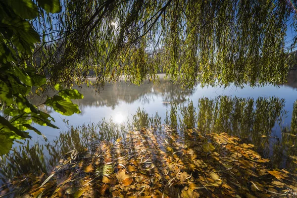 Tanzende Blätter Herbst Mit Langer Belichtung Bunte Herbstblätter Und Ihr — Stockfoto