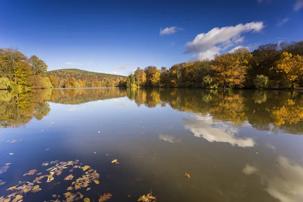 Feuilles Dansantes Automne Avec Une Longue Exposition Feuilles Automne Colorées — Photo