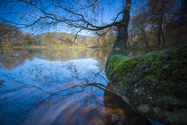 Tanzende Blätter Herbst Mit Langer Belichtung Bunte Herbstblätter Und Ihr — Stockfoto