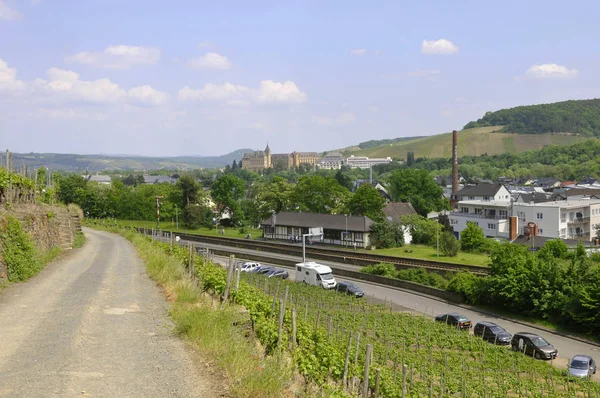 Vineyards Ahr — Stock Photo, Image