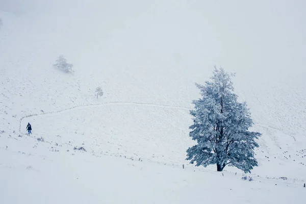 Paesaggio Innevato Durante Inverno Puy Pariou Alvernia Francia — Foto Stock