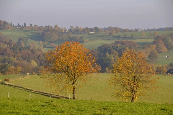 Herfst Het Oberbergland — Stockfoto