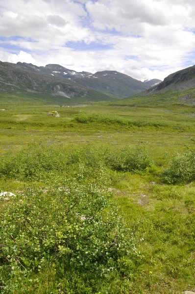 Geiranger Yakınlarında Yüksek Kaplama — Stok fotoğraf