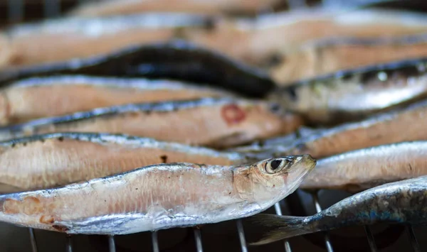 Tipikus Kék Hal Szardínia Főtt Grill Vagy Sütőben — Stock Fotó