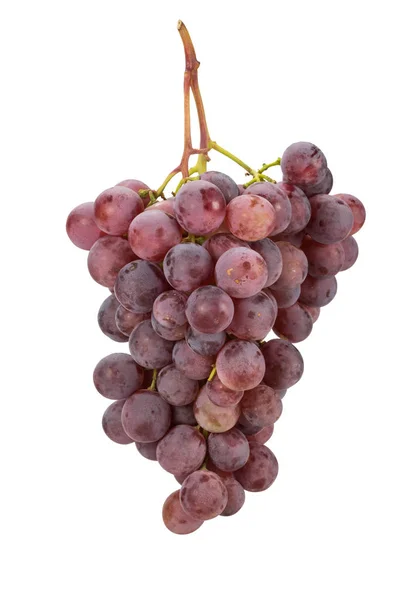 Jagody Winogronowe Owoce Żywności — Zdjęcie stockowe