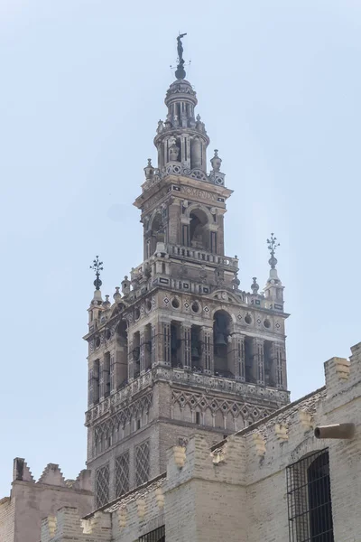 Clocher Giralda Ancien Minaret Église Cathédrale Séville Espagne — Photo