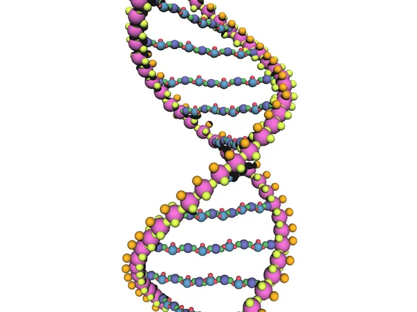 Gen Kromosom Och Dna Celler — Stockfoto