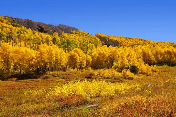 Muoversi Nelle Montagne Rocciose Colorado Settembre 2016 — Foto Stock