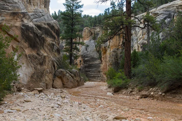 Kanyon Ulusal Anıtı Utah Abd — Stok fotoğraf