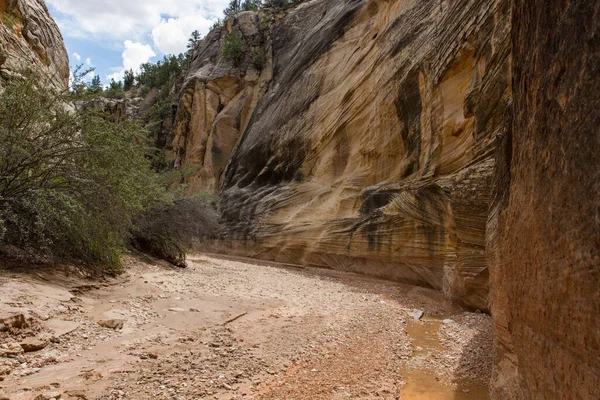 Kanyon Nemzeti Emlékmű Utah Usa — Stock Fotó