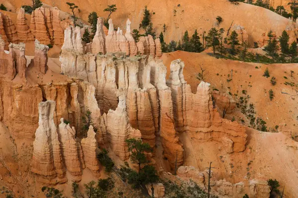 Seltsam Geformte Felsnadeln Bryce Canyon Nationalpark Utah Stati Uniti — Foto Stock