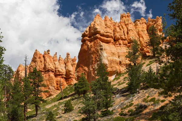 Seltsam Geformte Felsnadeln Bryce Canyon Nationalpark Utah Estados Unidos — Foto de Stock