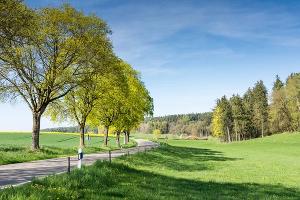 Landschaft Mit Bäumen Entlang Einer Landstraße — Stockfoto