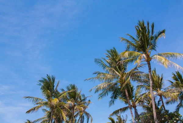 Tropik Gökyüzü — Stok fotoğraf