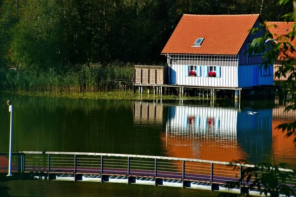 Une Vue Sur Rivière Dans Parc — Photo