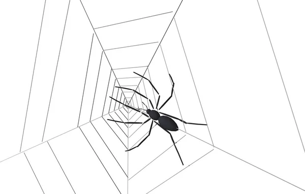 Spinnennetz Falleninsekt — Stockfoto
