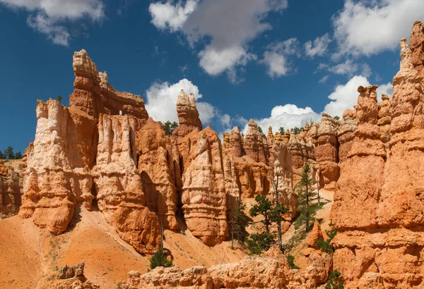 Seltsam Geformte Felsnadeln Bryce Canyon Nationalpark Utah Egyesült Államok — Stock Fotó