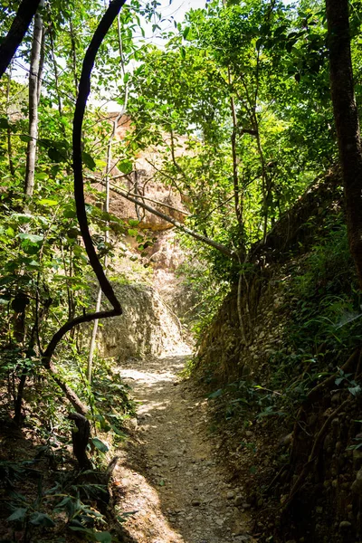 Sendero Seco Naturalmente Convirtió Falta Agua Del Arroyo — Foto de Stock