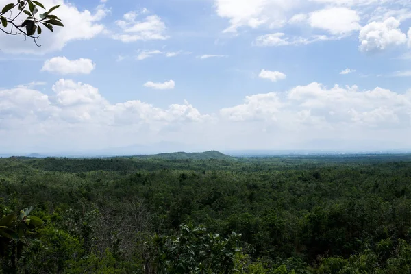 Thailand Grüne Felder Umwelt Und Flora — Stockfoto