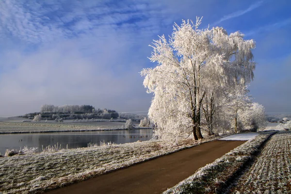 Vista Pitoresca Paisagem Inverno Coberto Neve — Fotografia de Stock