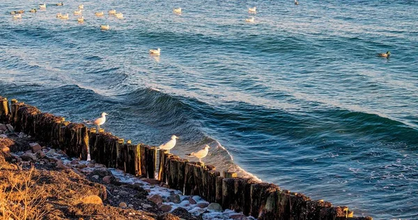 Mar Baltic Perto Kellenhusen — Fotografia de Stock