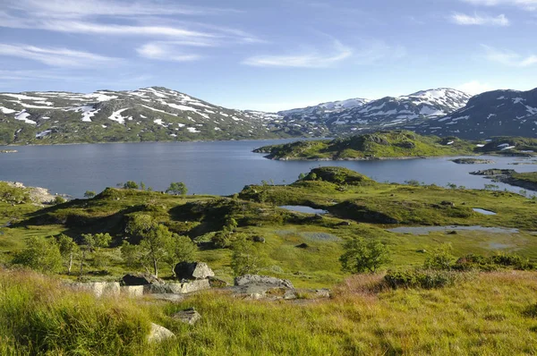 Negli Altopiani Haukelifjell Tra Roldal Vinje Sulla E134 Norway — Foto Stock