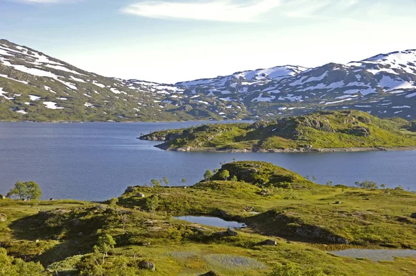 Górach Haukelifjell Między Rolkowe Vinje E134 Norwegii — Zdjęcie stockowe