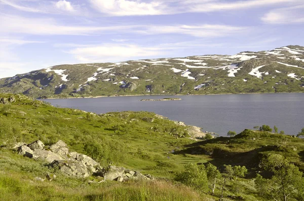位于Norway E134公路上的Roldal和Vinje之间的Haukelifjell高地 — 图库照片