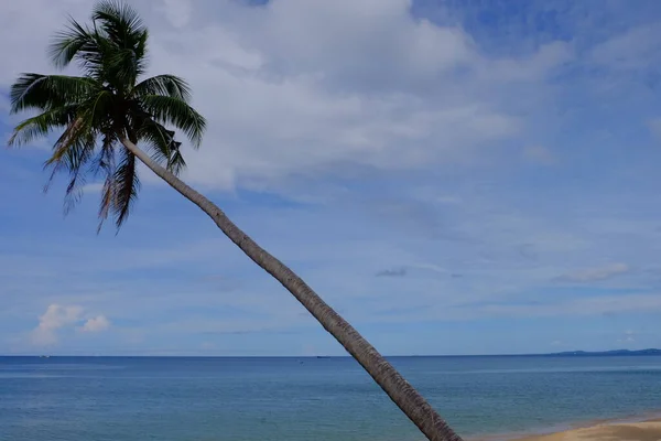 Güzel Tropikal Plaj Manzarası — Stok fotoğraf