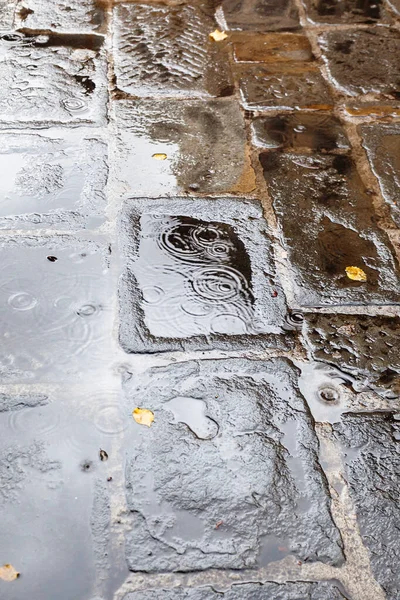 Cesta Itálie Městský Chodník Dešťovou Kaluží Žlutými Spadanými Listy Florencii — Stock fotografie