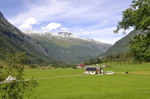 Orpentienen Vid Bordalen Norge — Stockfoto