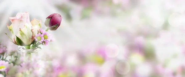 Panorama Mit Rose Vor Frühlingshaftem Hintergrund Für Muttertag Und Hochzeit — Stockfoto