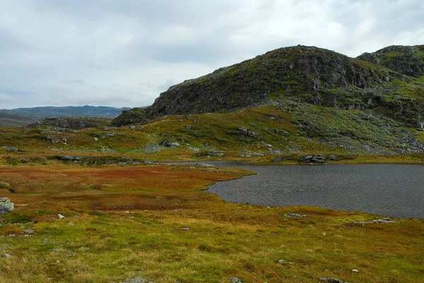 Вид Осень Норвегии — стоковое фото