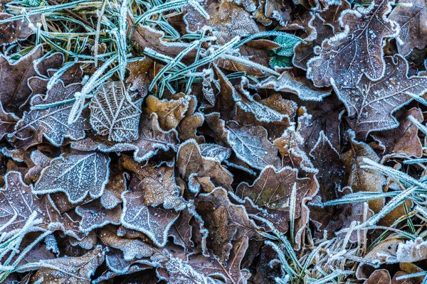 Téli Hangulat Németországban — Stock Fotó