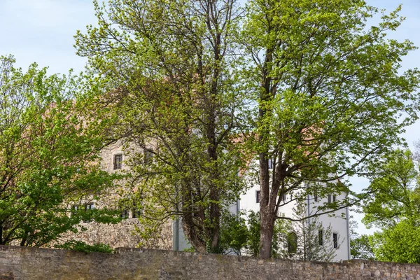 Historyczne Ballenstedt Harzu — Zdjęcie stockowe