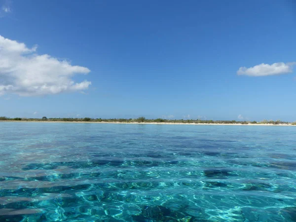Klein Bonaire Korallzátony — Stock Fotó