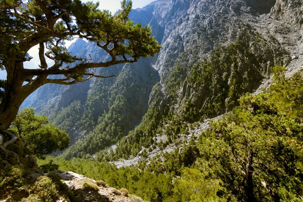 Samaria Boğazı Girit Yunanistan — Stok fotoğraf