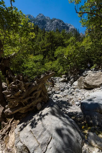 Samaria Gorge Creta Países Bajos — Foto de Stock