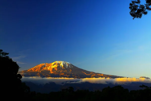 Lato Sud Del Kilimangiaro Guardando Nord Con Foresta Pluviale — Foto Stock