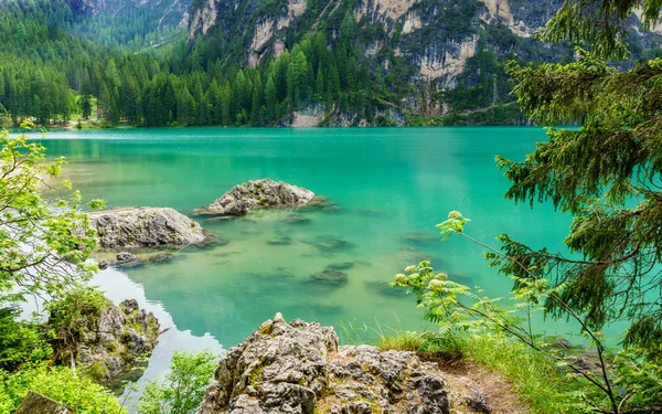 Pagador Wildsee Tirol Sul — Fotografia de Stock