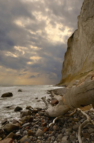 Vue Pittoresque Scène Extérieure — Photo