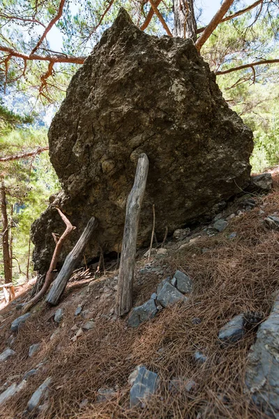 Samaria Gorge Tradição Turística Para Definir Parada Madeira Sham Sob — Fotografia de Stock